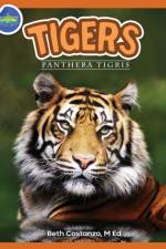 Tigers, Panthera Tigris ages 2-4 af Beth Costanzo