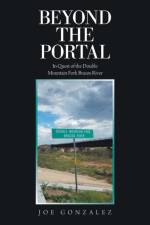 Beyond the Portal af Joe Gonzalez