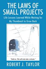 Laws of Small Projects af Robert J Taylor