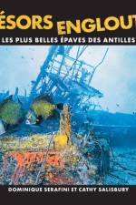 Tresors Engloutis af Dominique Serafini