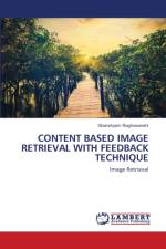 CONTENT BASED IMAGE RETRIEVAL WITH FEEDBACK TECHNIQUE af Raghuwanshi Ghanshyam Raghuwanshi