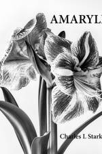 Amaryllis af Charles L