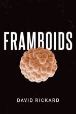 Framboids af David (Emeritus Professor of Geochemistry Rickard
