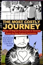 Most Costly Journey