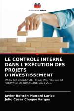 Le Controle Interne Dans l'Execution Des Projets d'Investissement af Javier Beltrán Mamani Larico