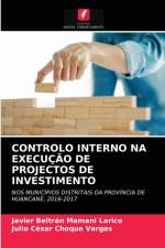 Controlo Interno Na Execucao de Projectos de Investimento af Javier Beltrán Mamani Larico