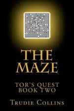 Maze af Trudie L Collins