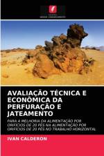 Avaliacao Tecnica E Economica Da Perfuracao E Jateamento af Ivan Calderon