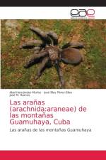 aranas (arachnida af Abel Hernández-Muñoz