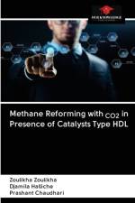 Methane Reforming with CO2 in Presence of Catalysts Type HDL af Zoulikha Zoulikha