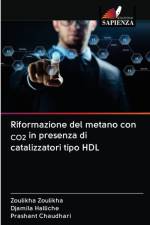 Riformazione del metano con CO2 in presenza di catalizzatori tipo HDL af Djamila Halliche