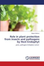 Role in plant protection from insects and pathogens by Host Endophyt af Magda Sabbour