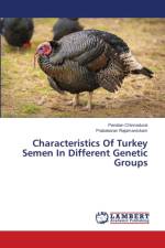 Characteristics Of Turkey Semen In Different Genetic Groups af Pandian Chinnadurai