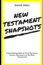 New Testament Snapshots af David Spell