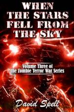 When the Stars Fell From the Sky af David Spell