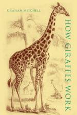 How Giraffes Work af Graham (Emeritus Professor of Zoology and Physiology Mitchell