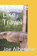 No Cure Like Travel af Joe Albanese