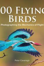 100 Flying Birds af Peter Cavanagh