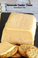 Homemade Cheddar Cheese af Stacy Robertson