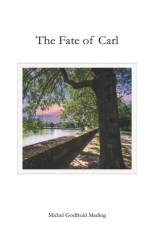 Fate of Carl af Michel Godfroid Meding