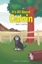 It's All About Calvin af Pamela Damron