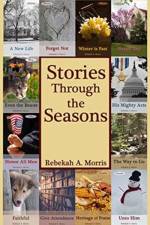 Stories Through the Seasons af Rebekah A Morris