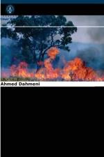 Entwicklung einer Waldbrandgefahrenkarte af Ahmed Dahmeni