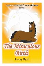 Miraculous Birth af Byrd Lavay Byrd