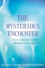 Mysterious Encounter af APPIAHKORANG HENRY DUODU APPIAHKORANG