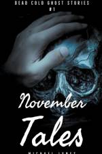 November Tales af Lynes Michael Lynes