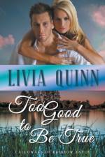 Too Good to Be True af Quinn Livia Quinn