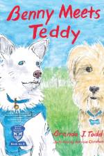 Benny Meets Teddy af Brenda Todd