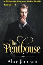 Billionaire Romance Series Bundle Books 1 - 5 The Penthouse af Jamison Alice Jamison