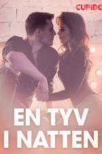 En tyv i natten – erotiske noveller af Cupido