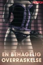 En behagelig overraskelse – erotiske noveller af Cupido