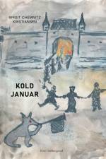 Kold januar af Birgit Chemnitz Kristiansen