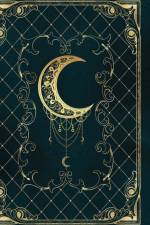 Magic moon grimoire af Alicia Friedl