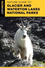 Nature Guide to Glacier and Waterton Lakes National Parks af Amy Grisak