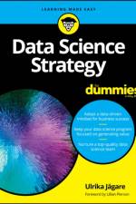 Data Science Strategy For Dummies af Ulrika Jagare