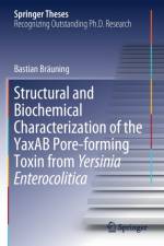 Structural and Biochemical Characterization of the YaxAB Pore-forming Toxin from Yersinia Enterocolitica