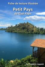 Fiche de lecture illustree - Petit Pays, de Gael Faye af Frederic Lippold