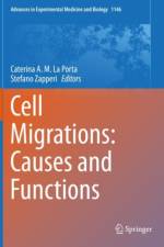 Cell Migrations: Causes and Functions