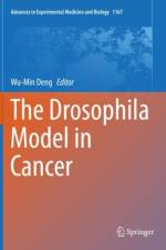 The Drosophila Model in Cancer