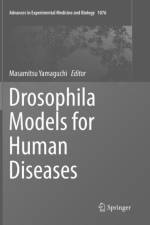 Drosophila Models for Human Diseases