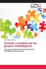 Estudio y analisis de los grupos estrategicos af María Pache Durán