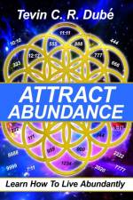 Attract Abundance af Dube Tevin C. R. Dube