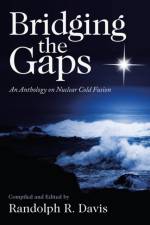 Bridging the Gaps af Randolph R Davis