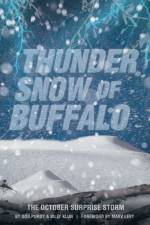 Thunder Snow of Buffalo af Don Purdy