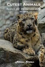 Cutest Animals