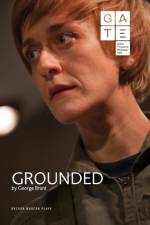 Grounded af George (Author) Brant